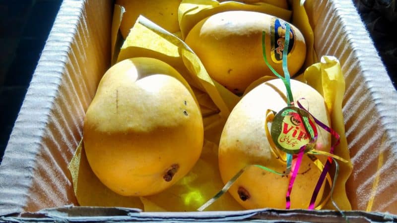 How to store mangoes at home so they don't spoil