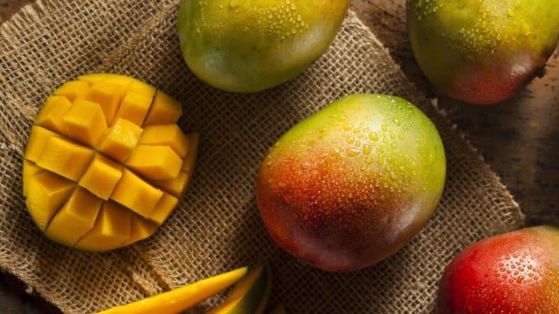 How to store mangoes at home so they don't spoil