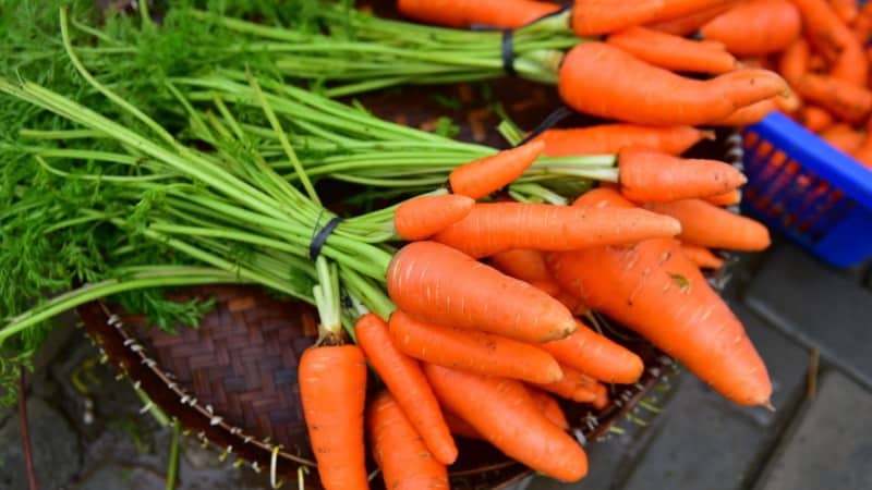 What is the name of the variety of mini carrots?