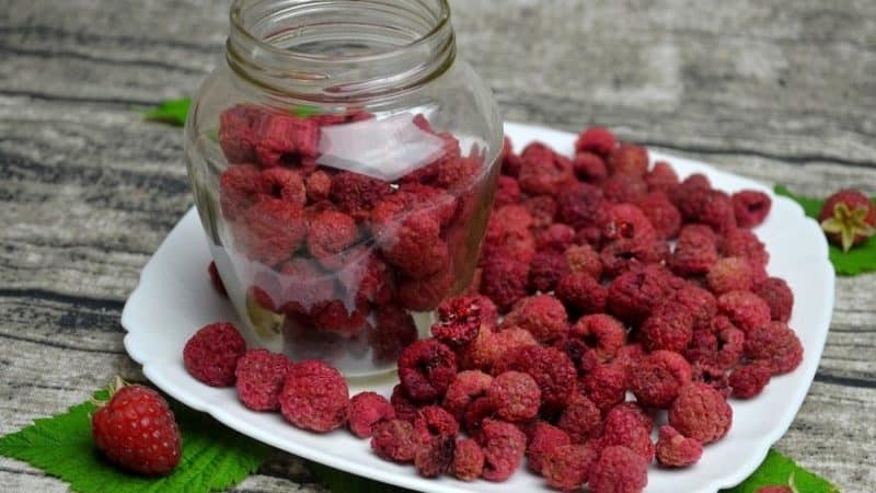 How to properly dry raspberries at home