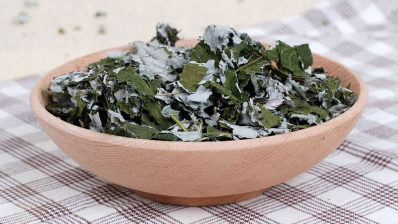 Raspberry leaf decoction is a healthy tea