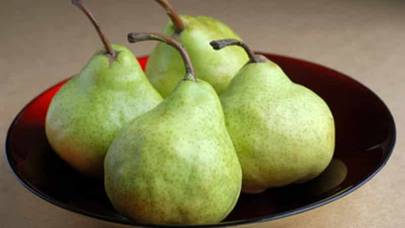 Chemical composition of pear, calorie content and its health benefits and harms