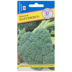 High-yielding late-ripening hybrid of broccoli cabbage Parthenon f1