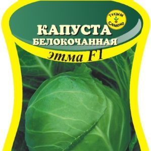 Early maturing cabbage hybrid Etma f1 with excellent taste