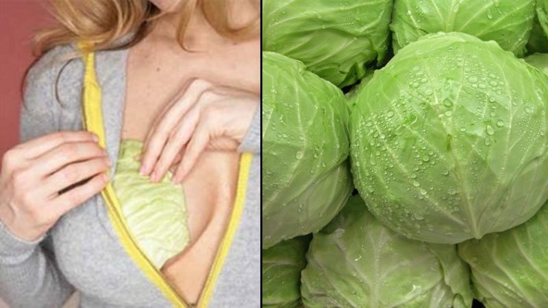 Cabbage for mastopathy: treatment with traditional methods, reviews