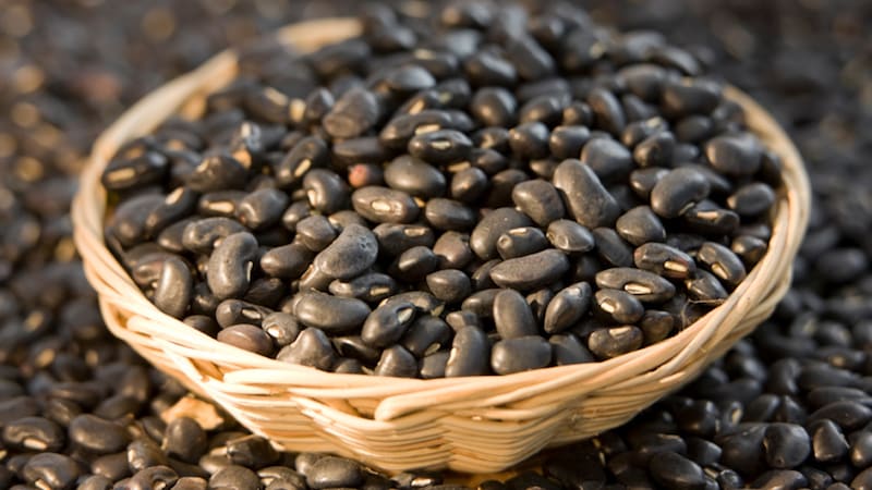 Varieties and varieties of beans: faba (garden), ornamental, large-fruited vegetable, fodder