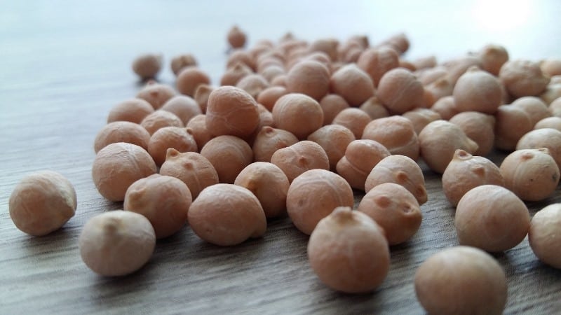 Chickpeas - composition, calorie content, benefits and harm