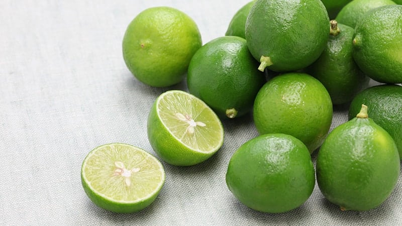Lime: composition and beneficial properties of the fruit, application features