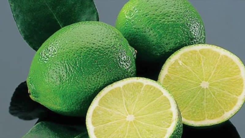 Lime: composition and beneficial properties of the fruit, application features