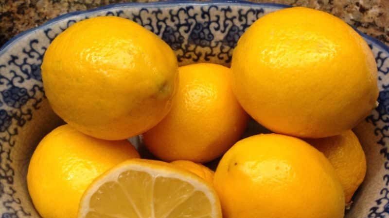 Orange variety of Meyer lemon: description, advantages and disadvantages, cultivation features