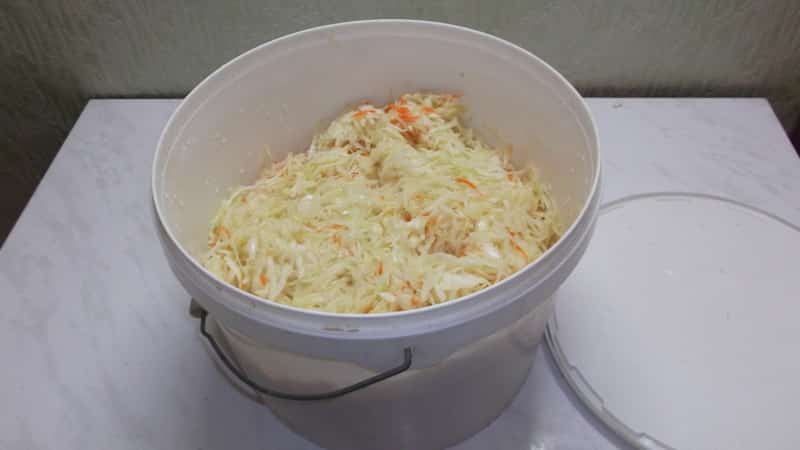 Is it possible to ferment and salt cabbage in a plastic food bucket and other plastic containers?