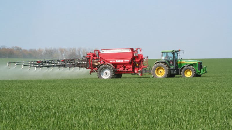 Fertilizing winter wheat: methods and rates of fertilizer application