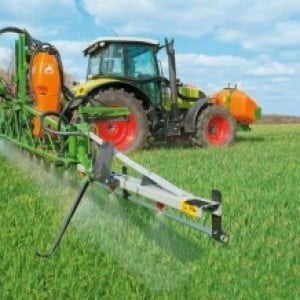 Fertilizing winter wheat: methods and rates of fertilizer application
