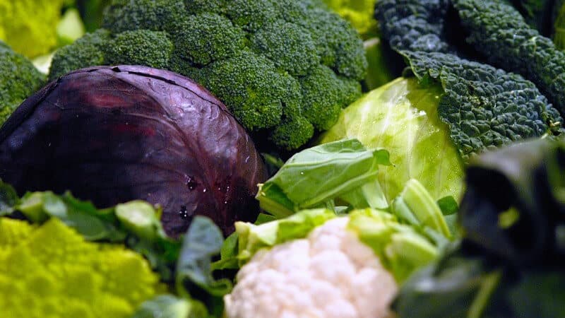 Benefits and results of the cabbage diet