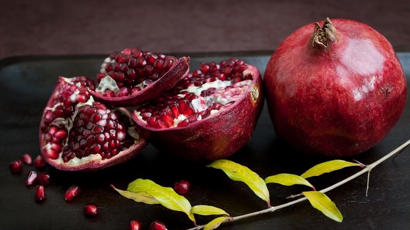 The benefits and harms of pomegranate for the health of women, men and children