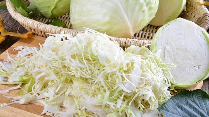 Features of planting and growing cabbage hybrid Rinda f1