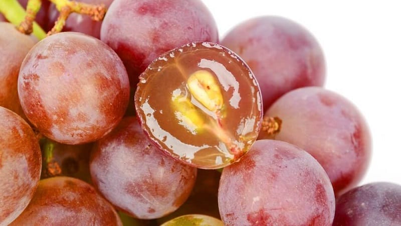 The benefits and harms of grape seeds for the body