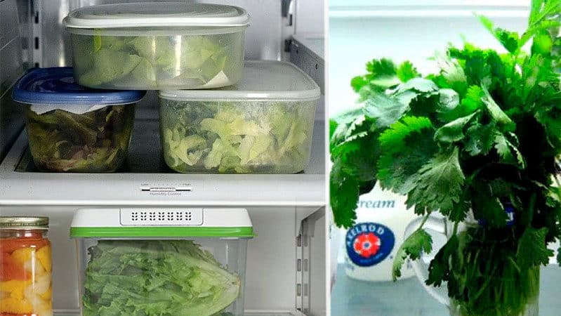 How to properly store fresh basil in the refrigerator