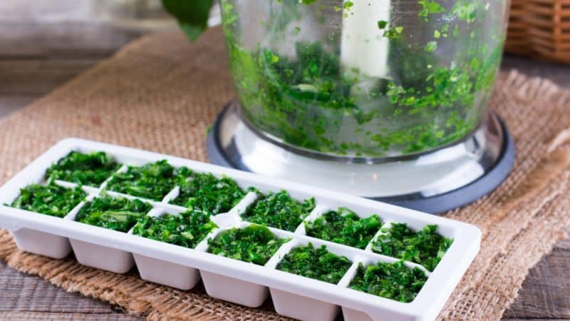 How to properly store fresh basil in the refrigerator