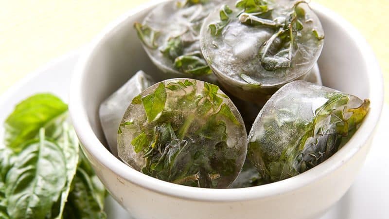 How to properly store fresh basil in the refrigerator