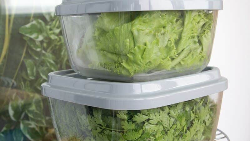 How to properly store fresh basil in the refrigerator