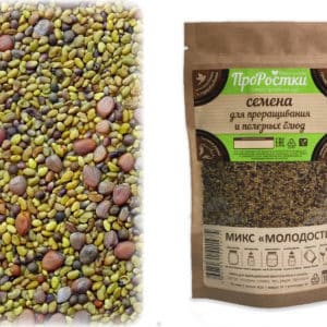 The benefits of broccoli sprouts and methods for germinating seeds