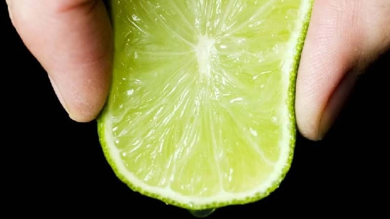 Lime juice and concentrate: composition, properties, use, contraindications