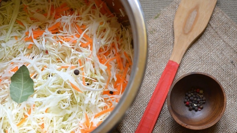 Salting cabbage in one day quickly and tasty: simple recipes for everyone’s favorite snack