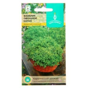 What is good about the Dwarf basil variety: reviews from those who grew it, advantages and disadvantages