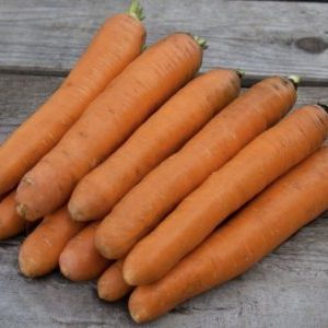 Unpretentious and disease-resistant carrot variety Berlicum Royal