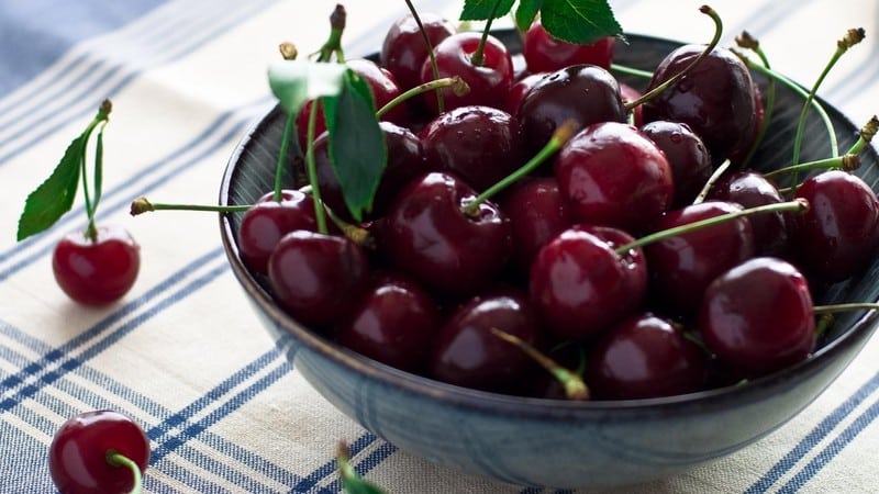 Top best varieties of cherries for Central Russia