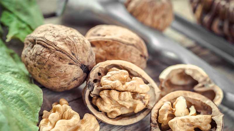 Eating walnuts for weight loss: is it possible to eat and in what quantity?