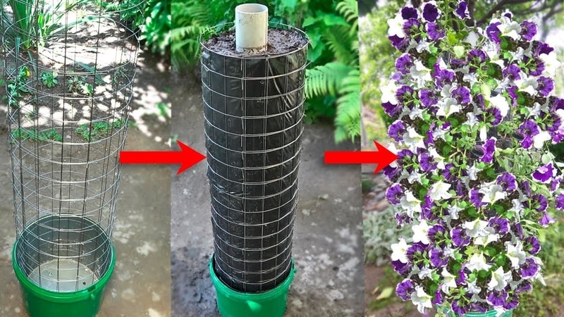 Growing petunia at home and in open ground: necessary conditions, planting, care
