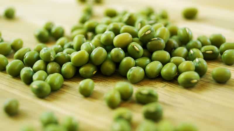 Green mung beans - what are they and how are they useful?