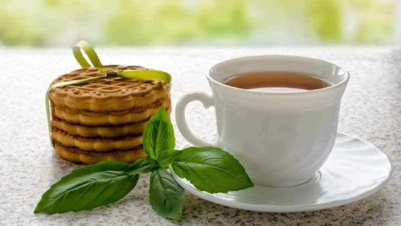 What are the benefits of basil tea and what are the most delicious recipes for brewing it?