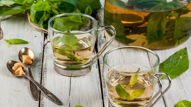 What are the benefits of basil tea and what are the most delicious recipes for brewing it?
