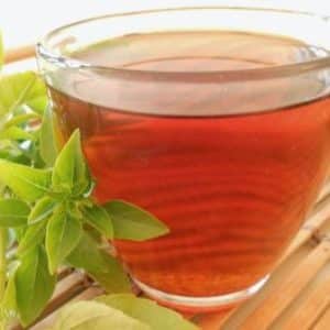 What are the benefits of basil tea and what are the most delicious recipes for brewing it?