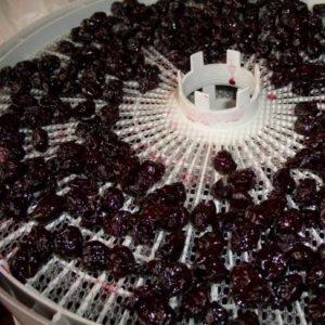Recommendations on how to store fresh and processed cherries at home