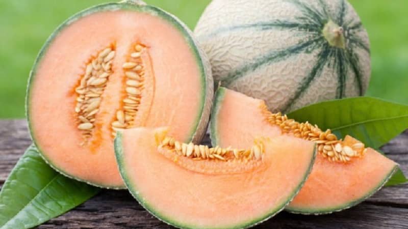 What are the types and varieties of melons?