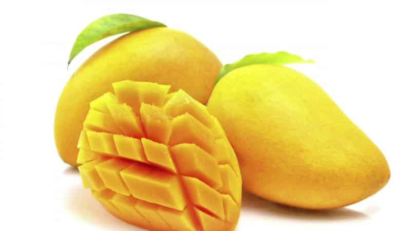 What is the calorie content of mango and what are its benefits and harms?