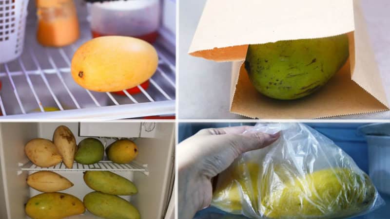 What is the calorie content of mango and what are its benefits and harms?