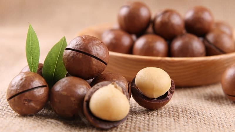 What does macadamia nut taste and smell like, and how to eat it correctly