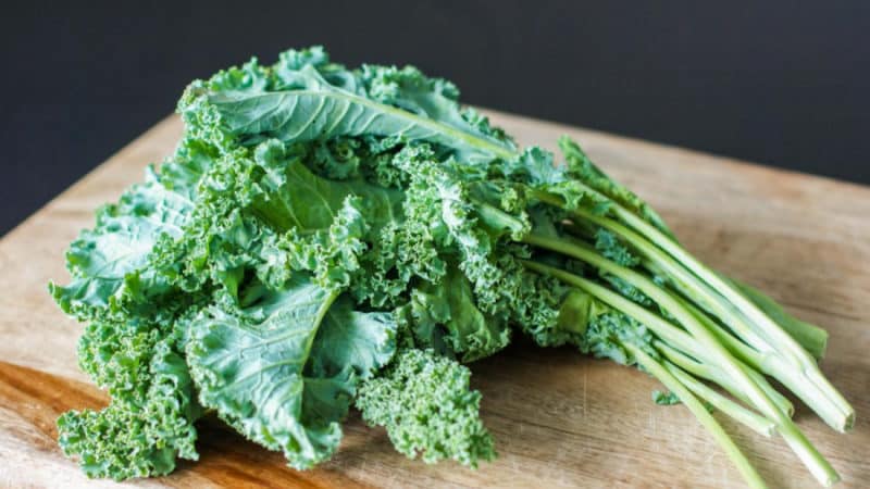 Kale cabbage - what kind of plant is it and what does it look like?
