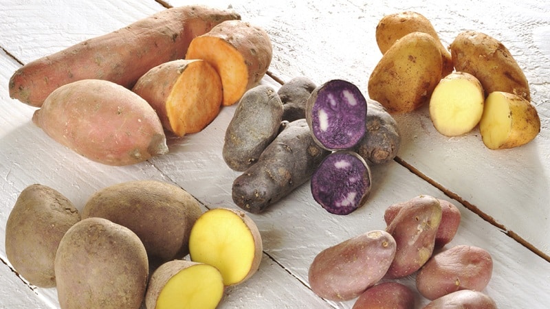 Why do you crave potatoes during pregnancy and is it possible to eat them?