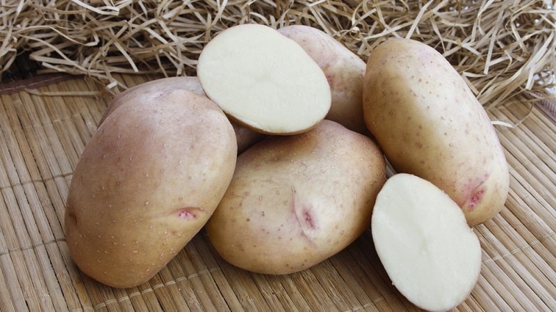 Why do you crave potatoes during pregnancy and is it possible to eat them?