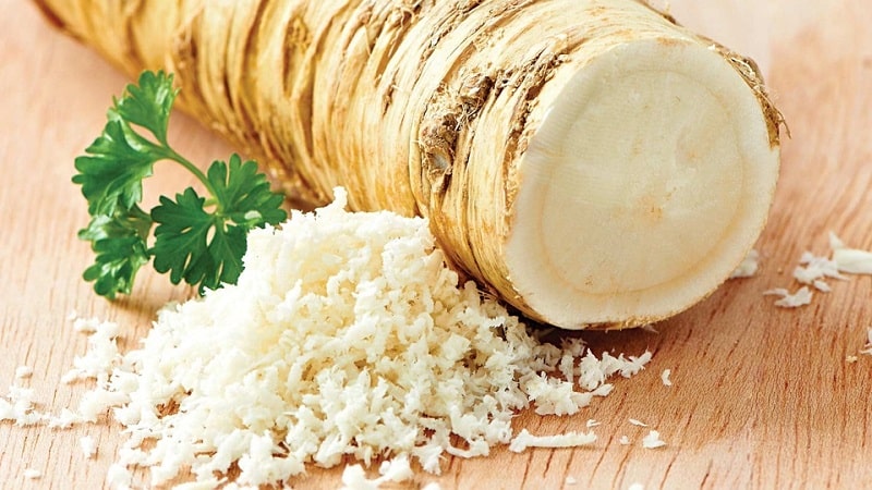 Is it possible to use horseradish during pregnancy and breastfeeding?