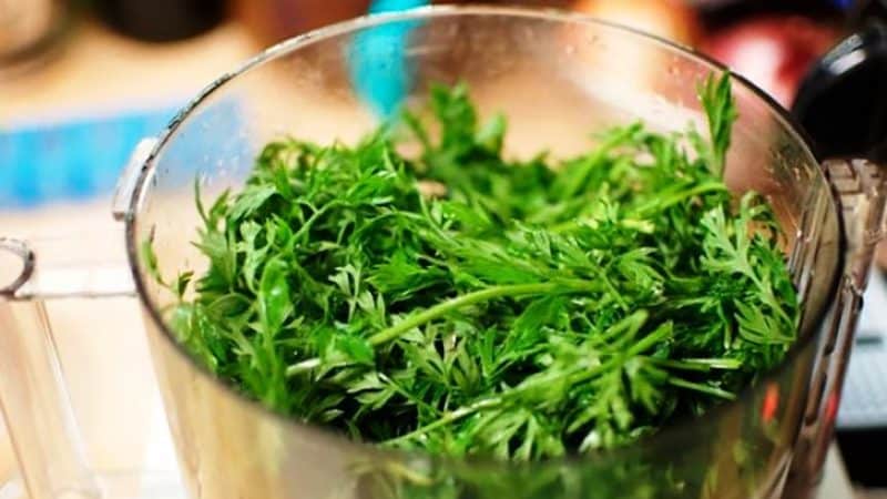 Incredible medicinal properties of carrot tops: recipes and contraindications