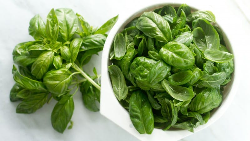 Lemon basil: description, cultivation, application
