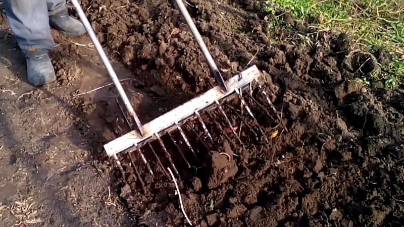 How to make a shovel for digging potatoes yourself