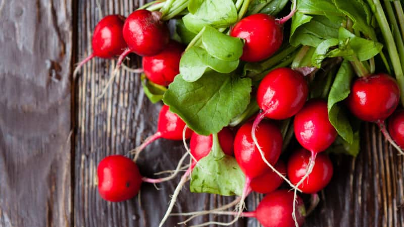 The difference between turnips and radishes